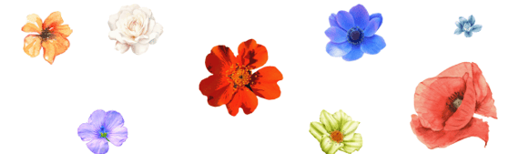 Support & Healing After Divorce | Grace Blooming