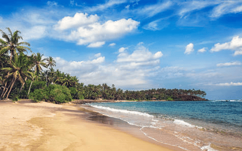 Mirissa Beach