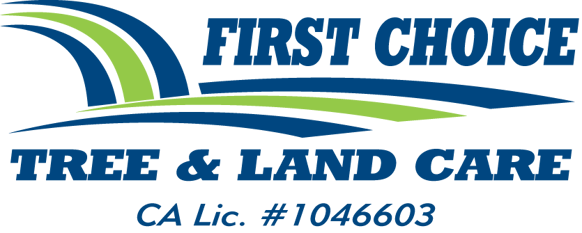 FIRST CHOICE TREE & LAND CARE logo