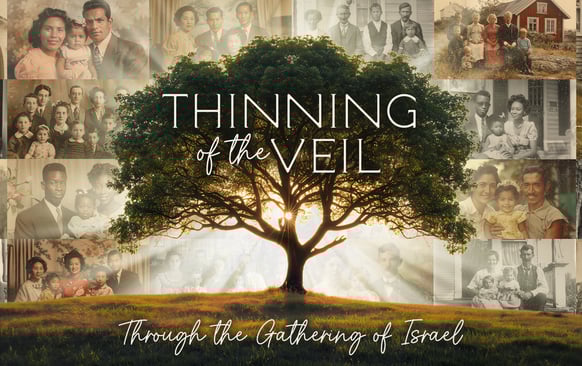 Thinning of the Veil tree on ancestor pictures