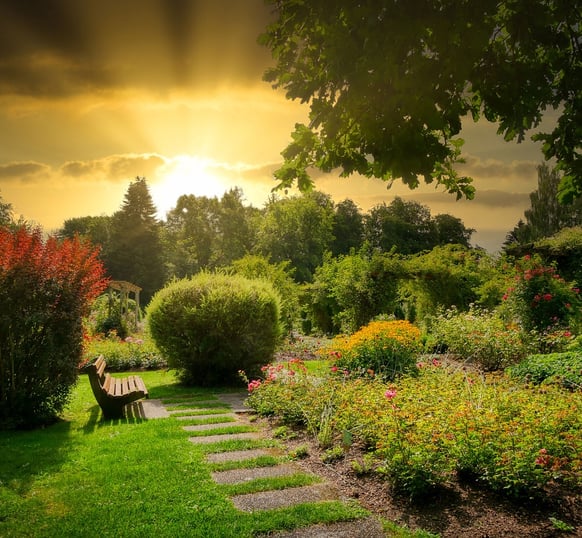 a bench in a park full of plants and flowers