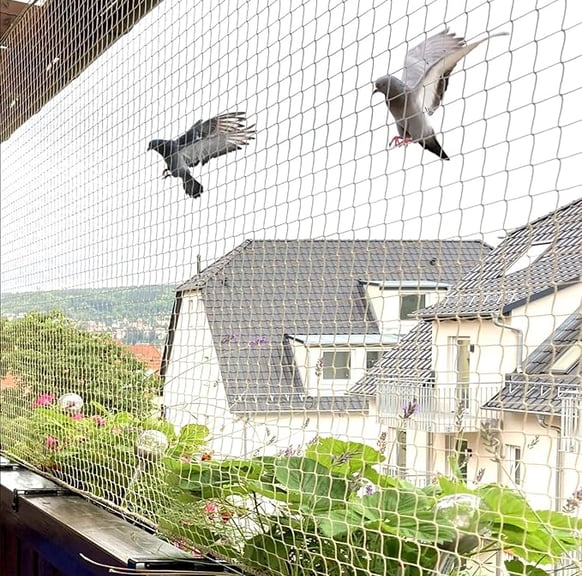 Holuby v Leviciach sa snazia dostat na balkon cez siet proti vtactvu