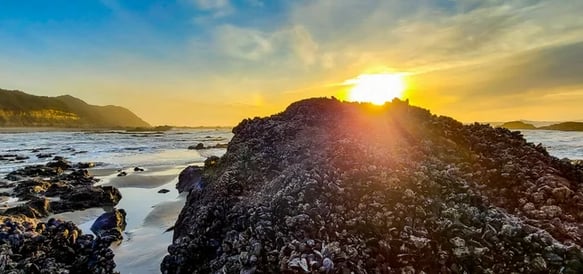 Oregon Coast - Strawberry Hill Wayside has a very large tidepool area