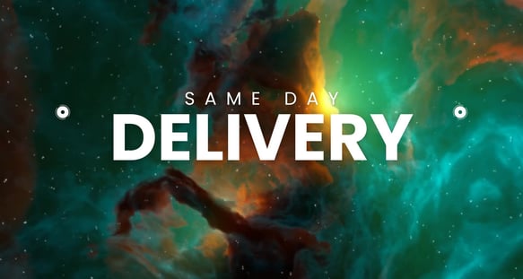one day delivery