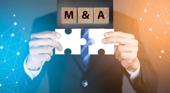 Merger & Acquistion, Due Diligence