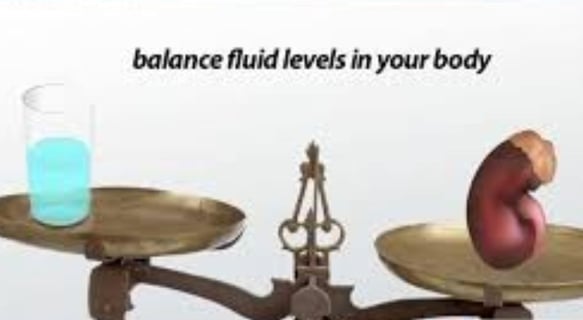 🥤🔬 Fluids & Fasting  The Science of Hydration and Kidney Function