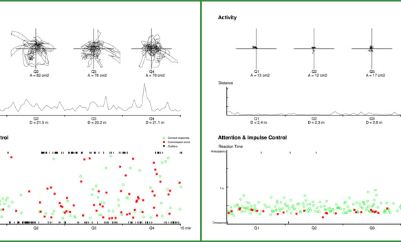 Sample QbTest Report