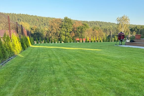 vejos įrengimas, graži veja, vejos seklos, golfmaster, laistymo sistemos