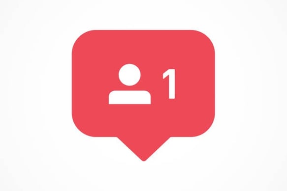 seguidores