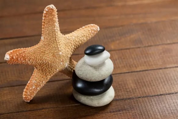 Sea stone for jewelry and a starfish
