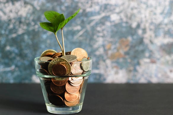 a plant growing out of a glass jar with coins