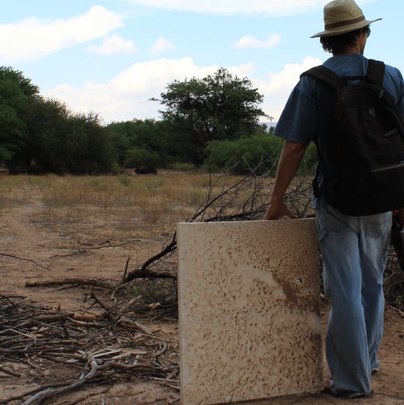 Julien BERGER Berg en Argentine San Carlos altiplano 