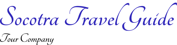 Socotra Travel Guide logo