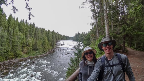 Dawson Falls