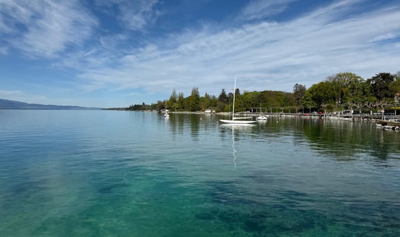 Geneva’s leading property search expert