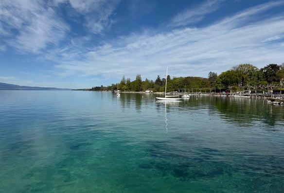 Expert en recherche immobilière à Genève