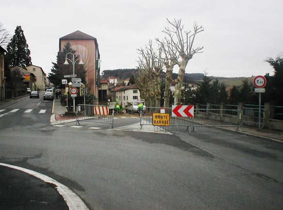 Equipe professionnelle élaguant des arbres dans la ville d'Amplepuis.