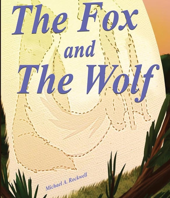 a book cover of the fox and the wolf