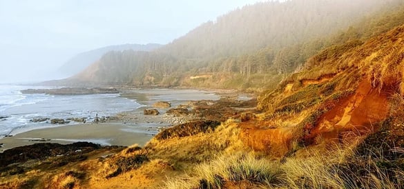 Oregon Coast - Strawberry Hill Wayside scenery, orange earth & green trees against a blue ocean