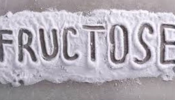 Fructose and Health Relationship with Obesity, Fasting