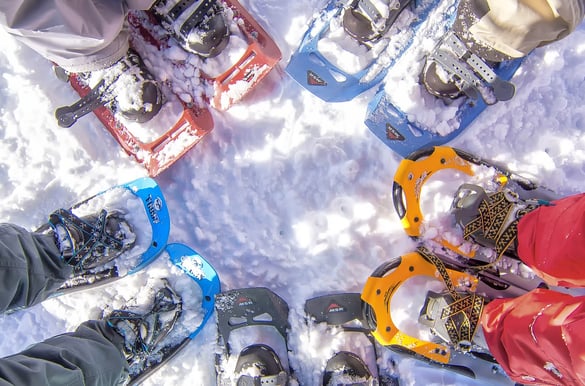 grupo de raquetas de nieve en circulo