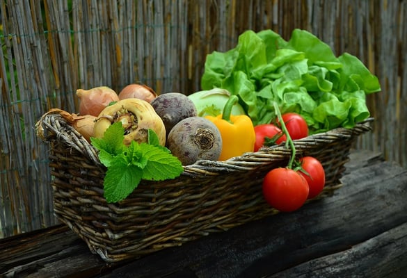 Discover how gut health affects weight loss and metabolism. 