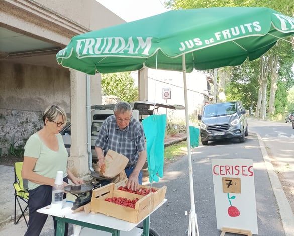 Local cherries for sale.