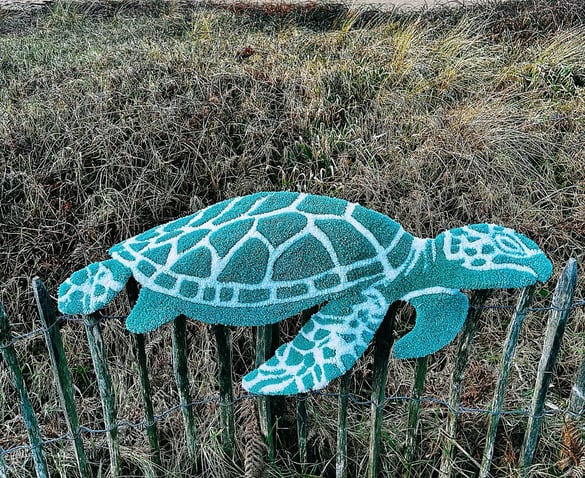 Photos d'un tapis tufté à la main en forme de tortue, turquoise et blanc