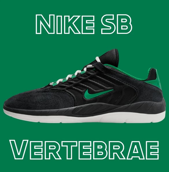 a pair of shoes with the words Nike SB Vertebrae