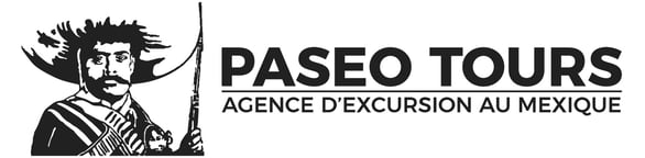 Logo de Paseo Tours agence d'excursion