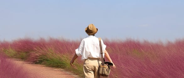 Woman in Lavender Field