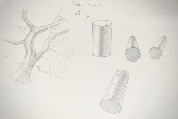 Study tree trunks using ideas about cylinders, light direction andcross contours.