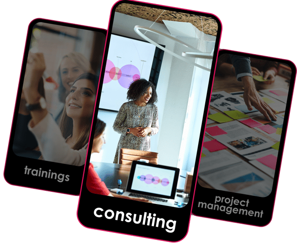 consutling, project management and training services