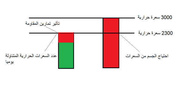 تأثير تمارين الكارديو على الجسم