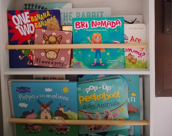 bookshelf with Bri Nomada book