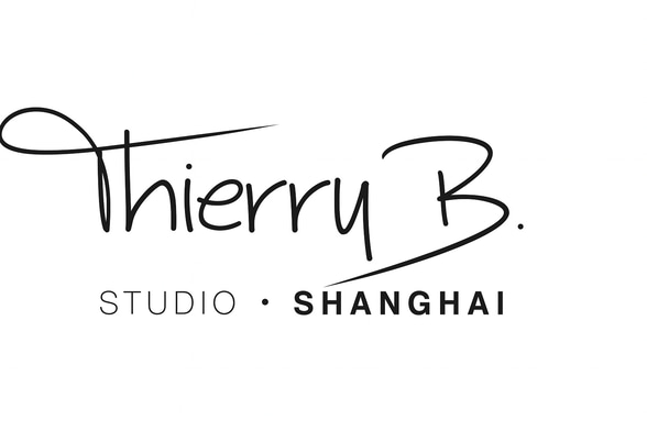 Thierry Bornier Studio logo