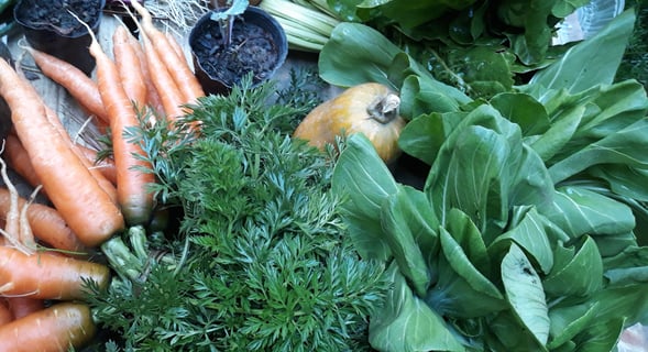frutas y verduras orgánico