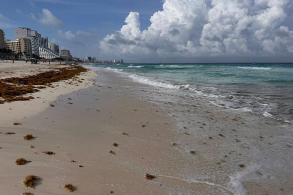 a beach with a view of the ocean and a cloudy sky