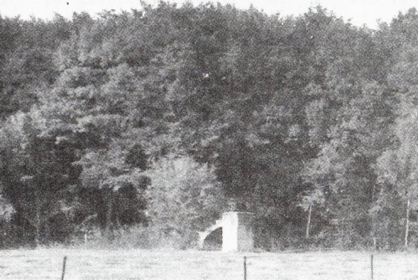 Mausolée de Limoy (1920 ?) aujourd'hui disparu
