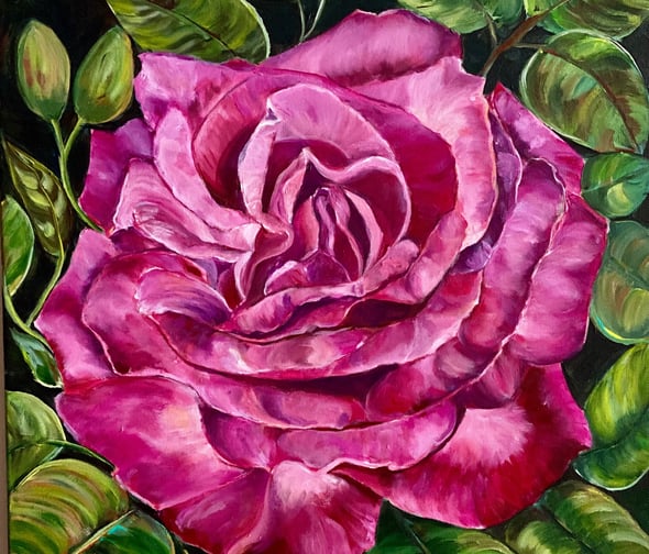 a painting of a fucsia rose  from my garden