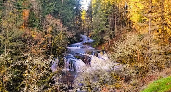 Yacolt, WA - Looking down at Pothole Falls cascading over the rock formations