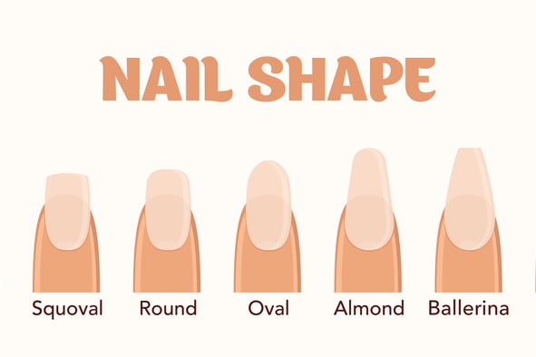 nail shape guide