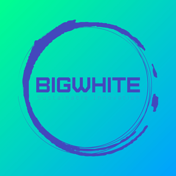 bigwhite logo