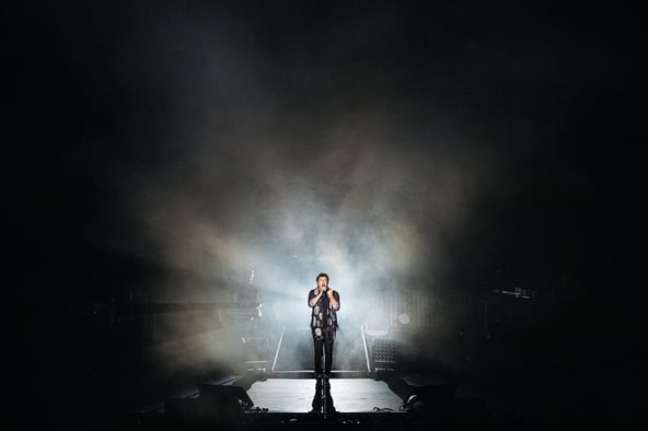 Patrick Bruel / Parc des Oiseaux, Lyon /Concert