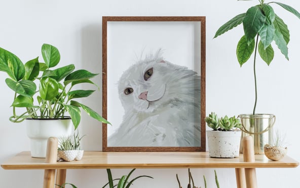 white cat portrait