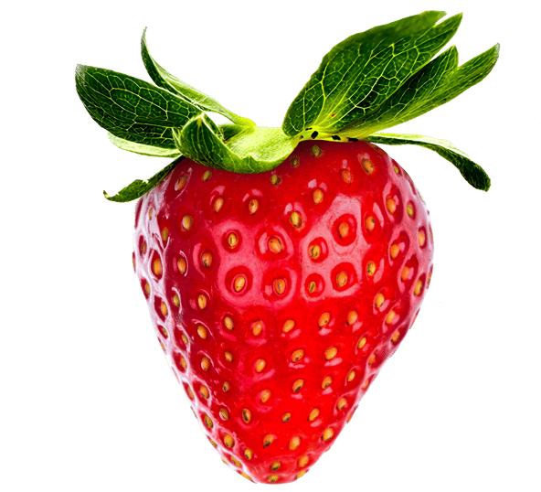 Fresa