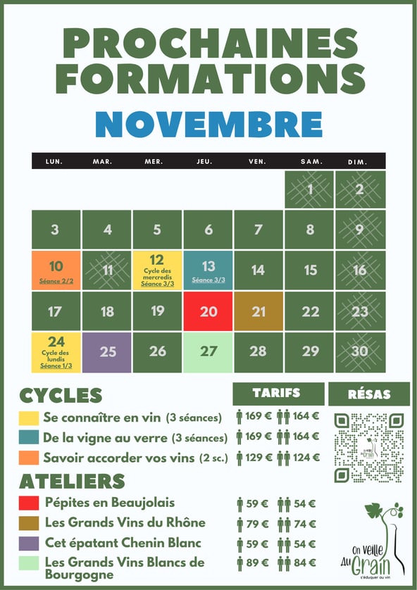 cours oenologie novembre 2025 dégustation de vins lyon on veille au grain