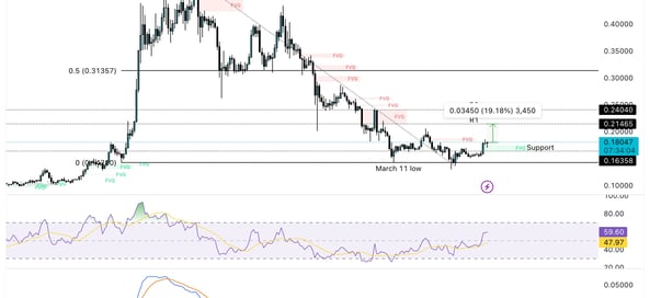 Doge graph