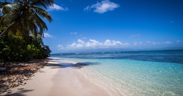 plage de guadeloupe eau turquoise