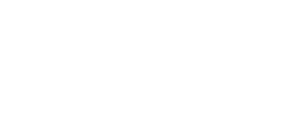 Petrol Energy logo